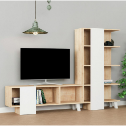 Mẫu kệ tivi đẹp kết hợp kệ sách gỗ trang trí phòng khách TKTV44