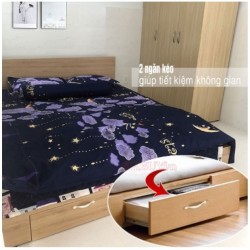 Giường ngủ đơn gỗ công nghiệp 1m2x2m có ngăn kéo GCN15