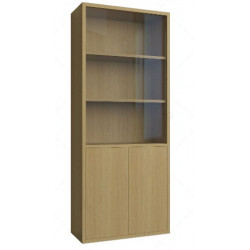 Tủ đựng sách,tài liệu bằng gỗ cánh kính KSG140