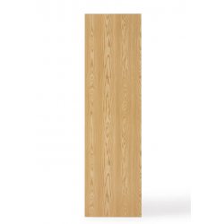 Tủ quần áo gỗ cánh trượt kiểu dáng hiện đại TAO01