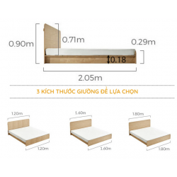 Giường ngủ bệt 1m6 kiểu bản bằng gỗ công nghiệp GGO02